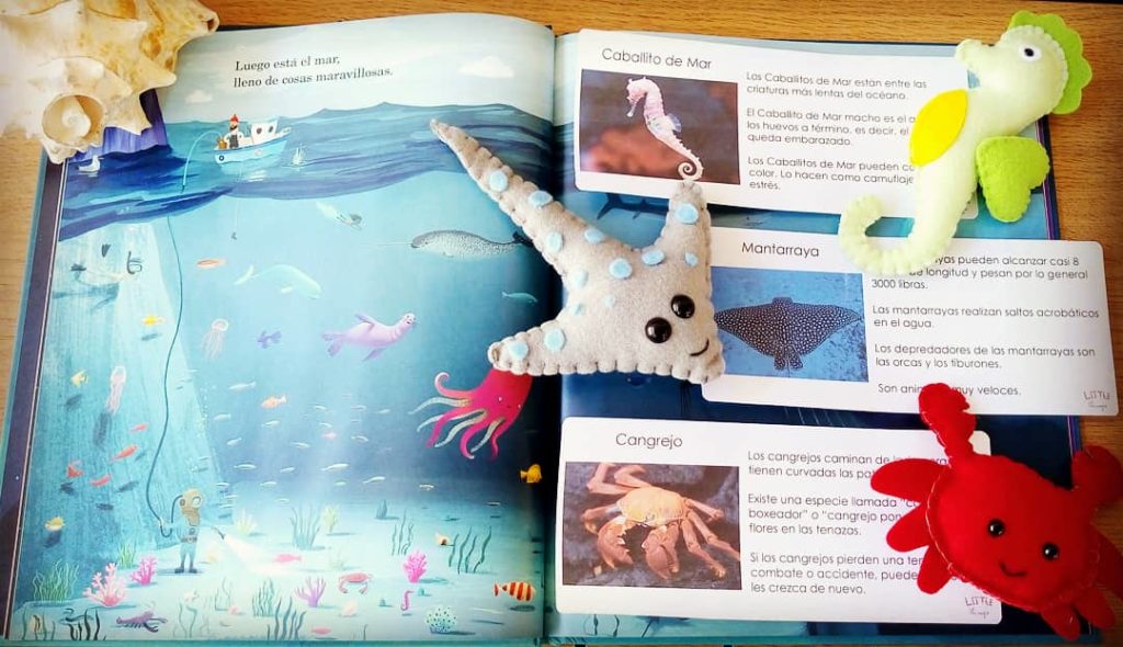 Tarjetas de información animales del mar